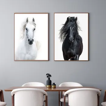 Biely Arabský Kôň Tlač A Poster Black Zvieratá Wall Art Plátno Na Maľovanie Škandinávskych Obrázok Obývacia Izba Dekoratívne Cuadros