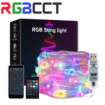 USB 5m 10m LED Svetlá Osvetlenie String Star Rugby Jahody 5V WS2812B LED Modulov Bluetooth Music APP Remote Záhrada Dvore