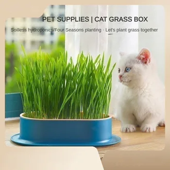 Nové Pet Mačka Snack Vyrastajú Výhonky Hrniec Hydroponických Rastlín Catgrass Vyrážať Trávenie Starter Skleníkových Rast Box