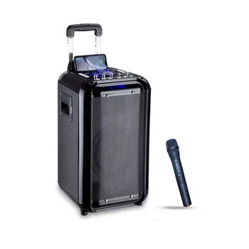Outdoor camping vozíka fáze karaoke zvukový systém 60w bezdrôtové audio prenosné modrý zub 10 palcový strany profesionálny reproduktor